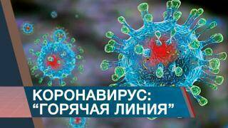 Внимание коронавирус!